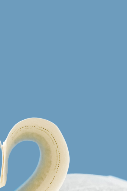 Maria Bohrer's book in heart shape